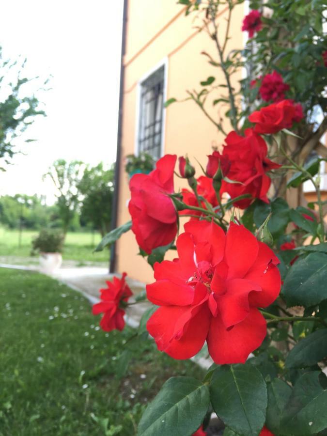 Il "Green " In Giardino Феррара Экстерьер фото